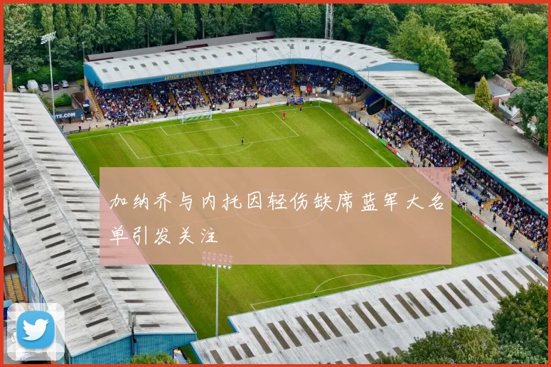 加纳乔与内托因轻伤缺席蓝军大名单引发关注