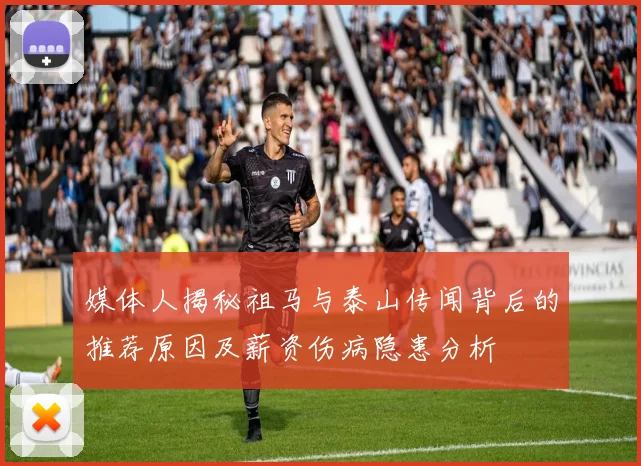 媒体人揭秘祖马与泰山传闻背后的推荐原因及薪资伤病隐患分析