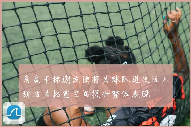 乌度卡称谢泼德将为球队进攻注入新活力拓宽空间提升整体表现
