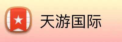 天游国际 logo